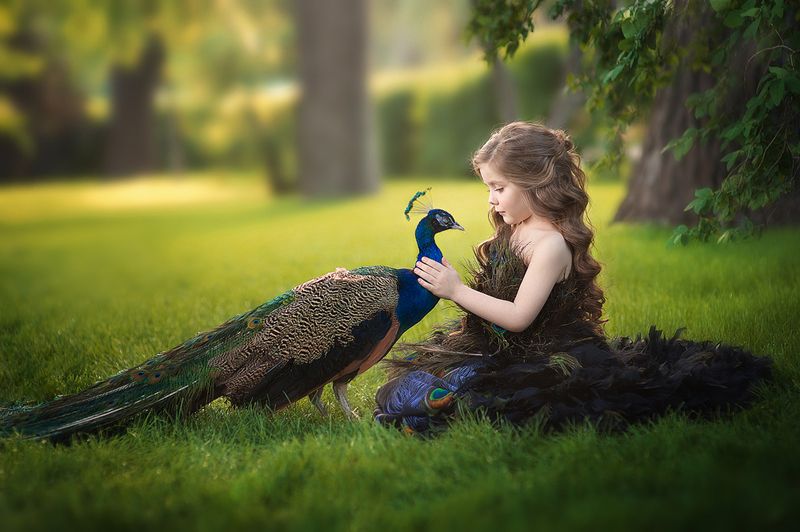 фото превью