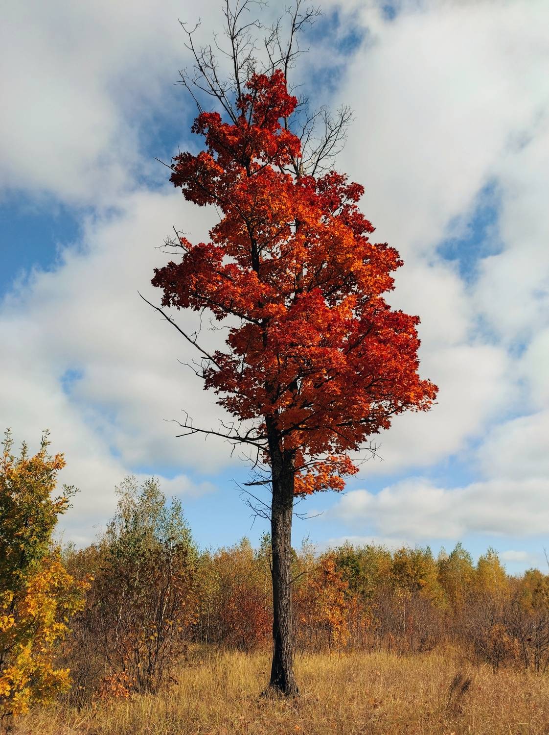 , Фото Александр