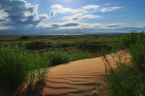 Пустыни кусочек..