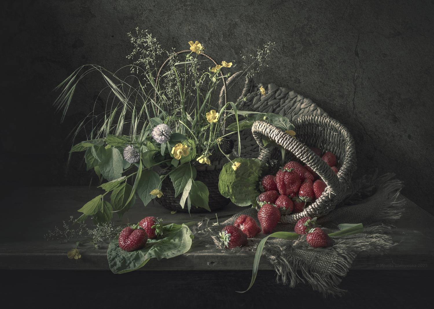 , Шипунова Ирина