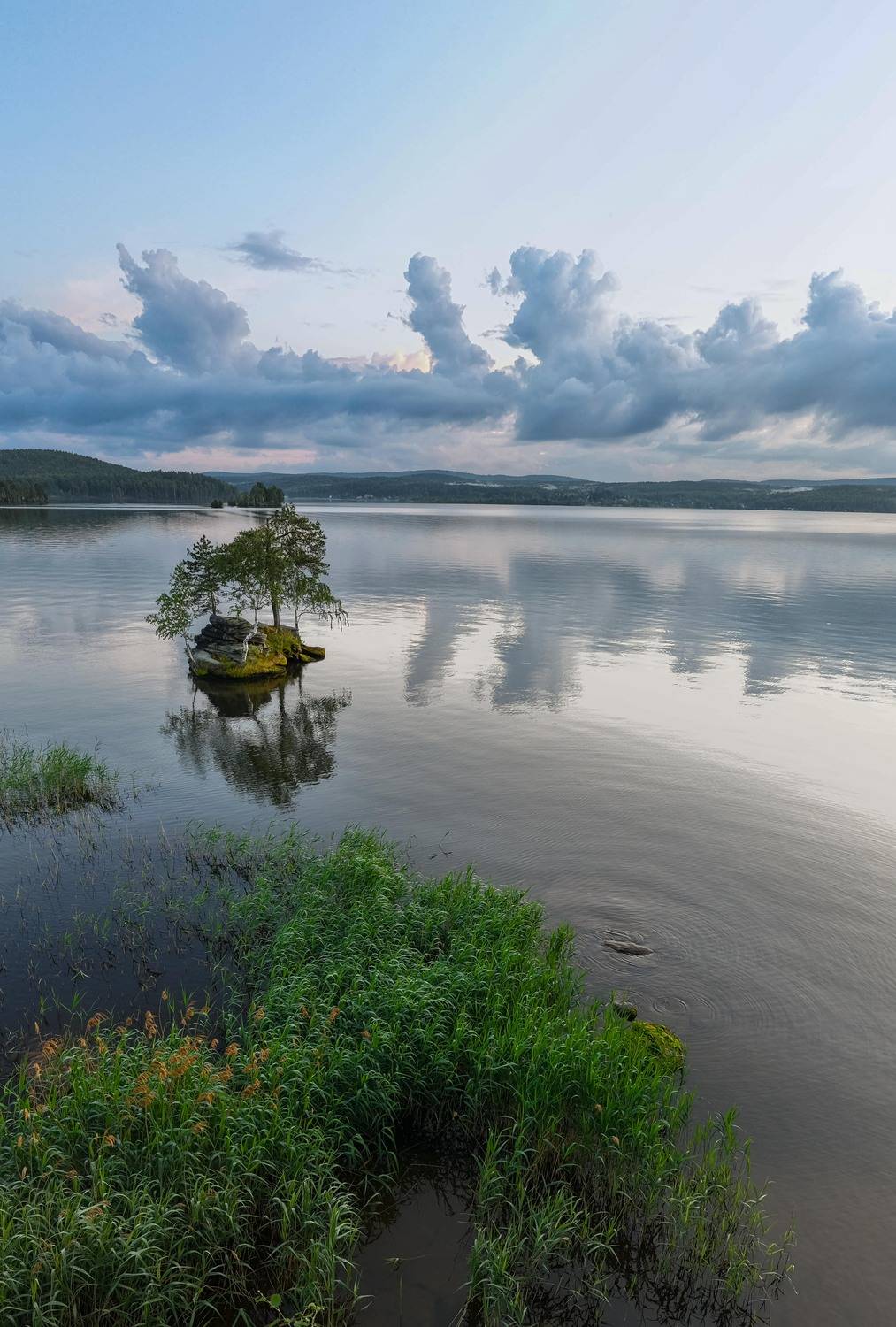 , Ватрушкин Максим