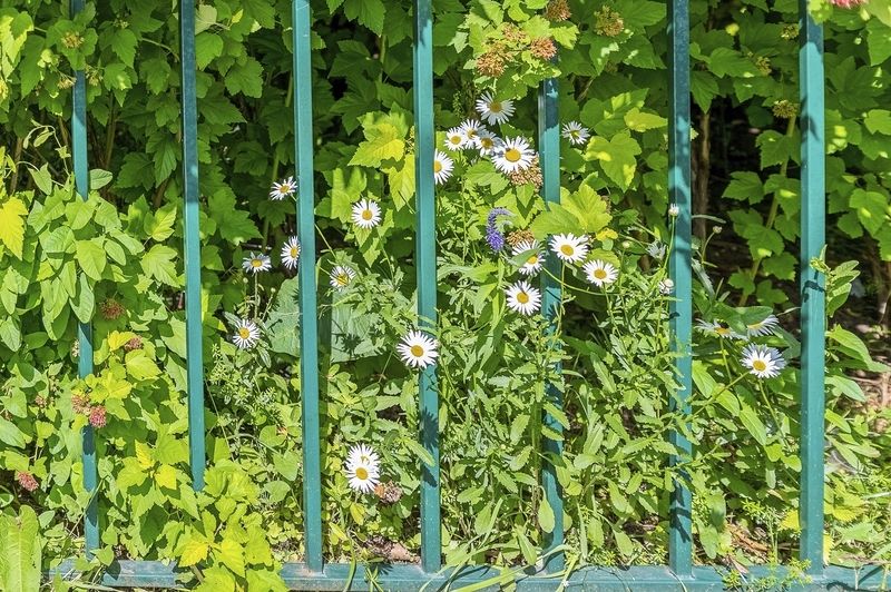Городские фото превью
