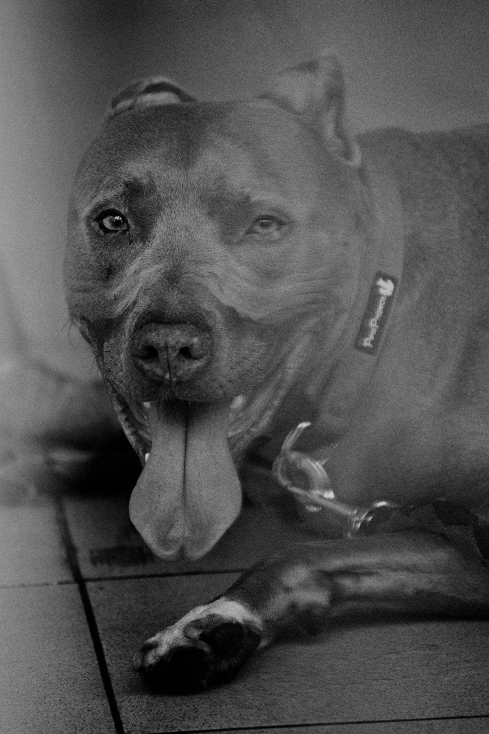 , Щеглова Марина