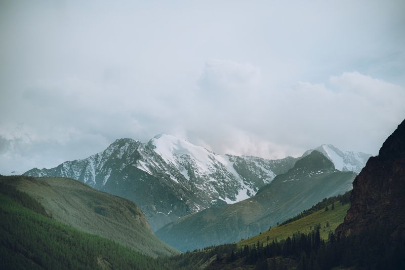 Горы, лес, холмы, снег, скалы, Алтай Горный Алтай фото превью