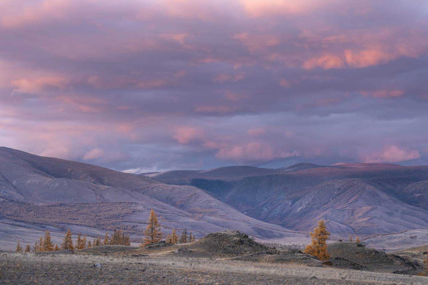 алтай, осень,, Дейнекина Галина