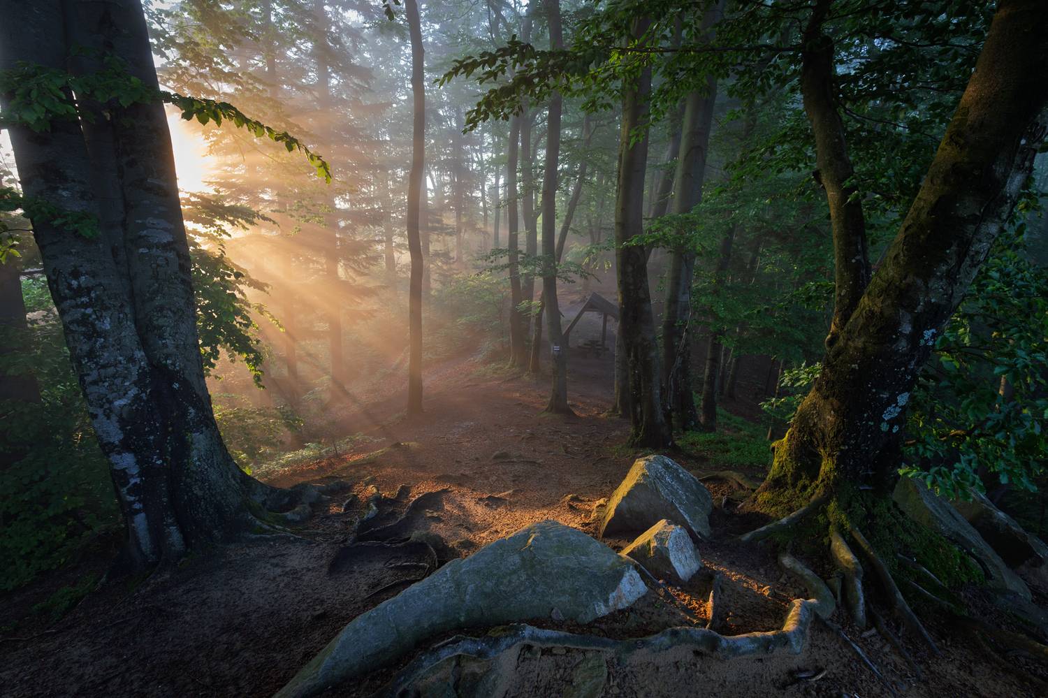 ,  Mirosław Pruchnicki