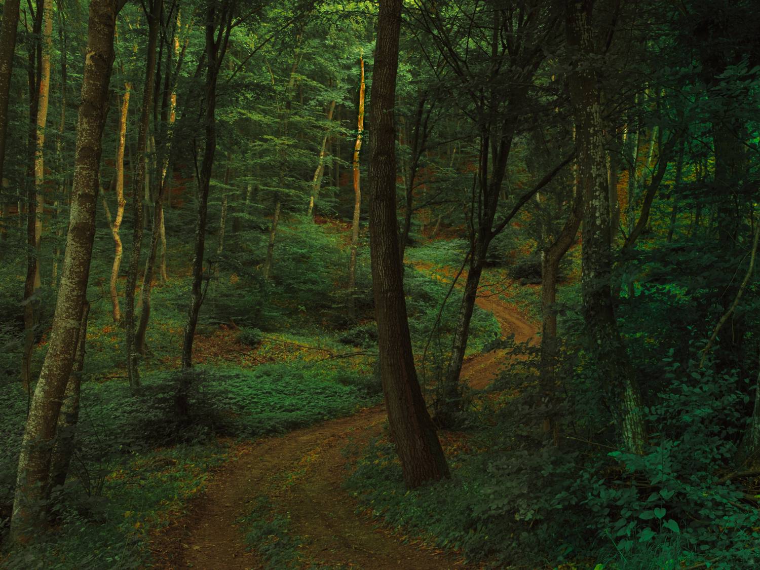 , Николов Андриян