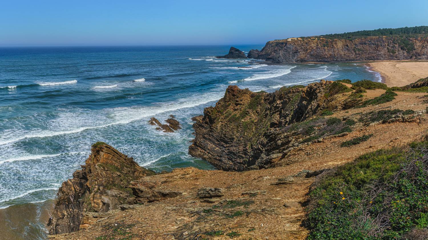 , Шварцман Евгений