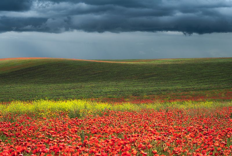 Буйство красок фото превью