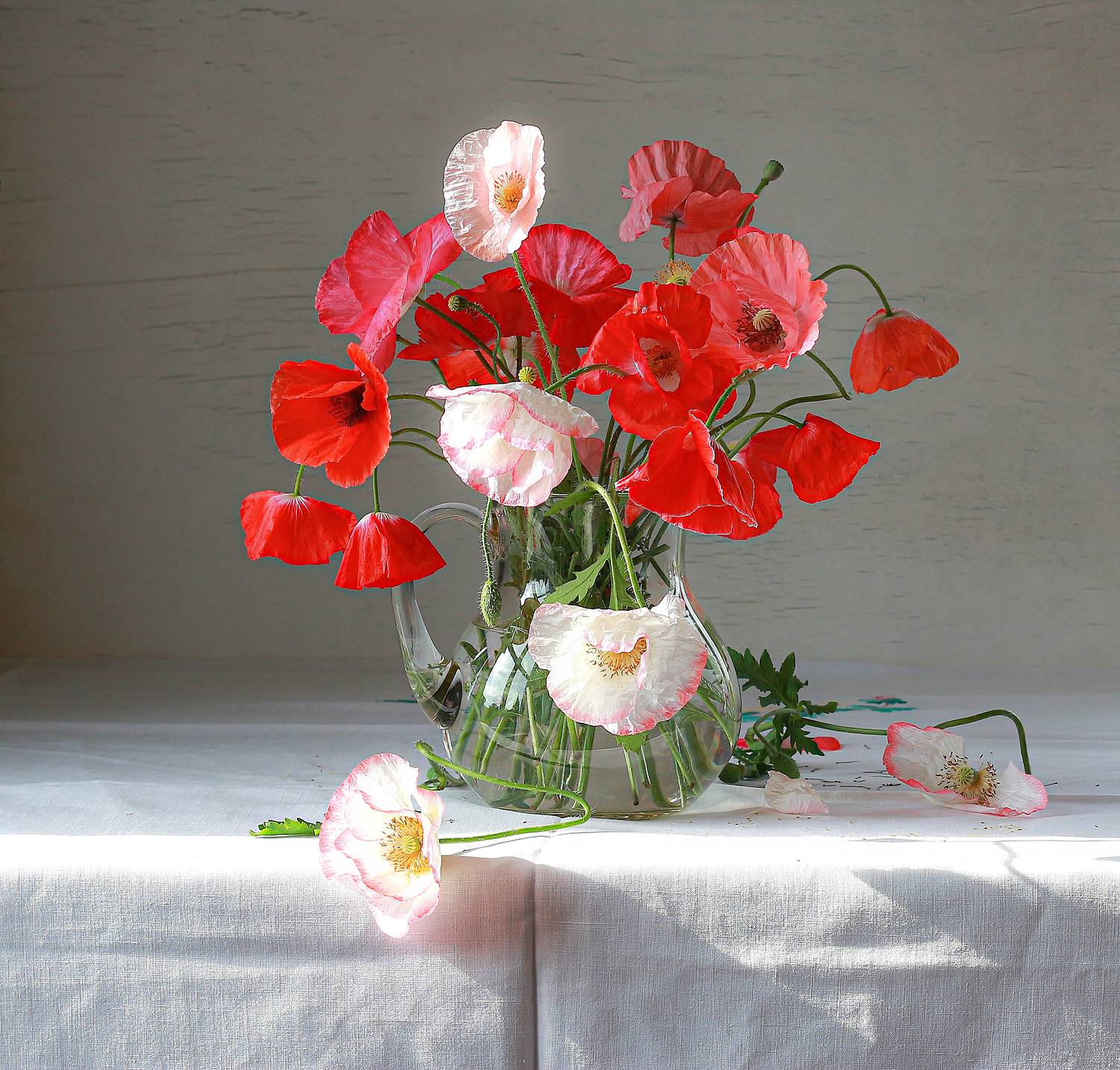 натюрморт, фотонатюрморт, still life, stillifefoto, лето, маки, цветочный_натюрморт, наталья_казанцева, Наталья Казанцева