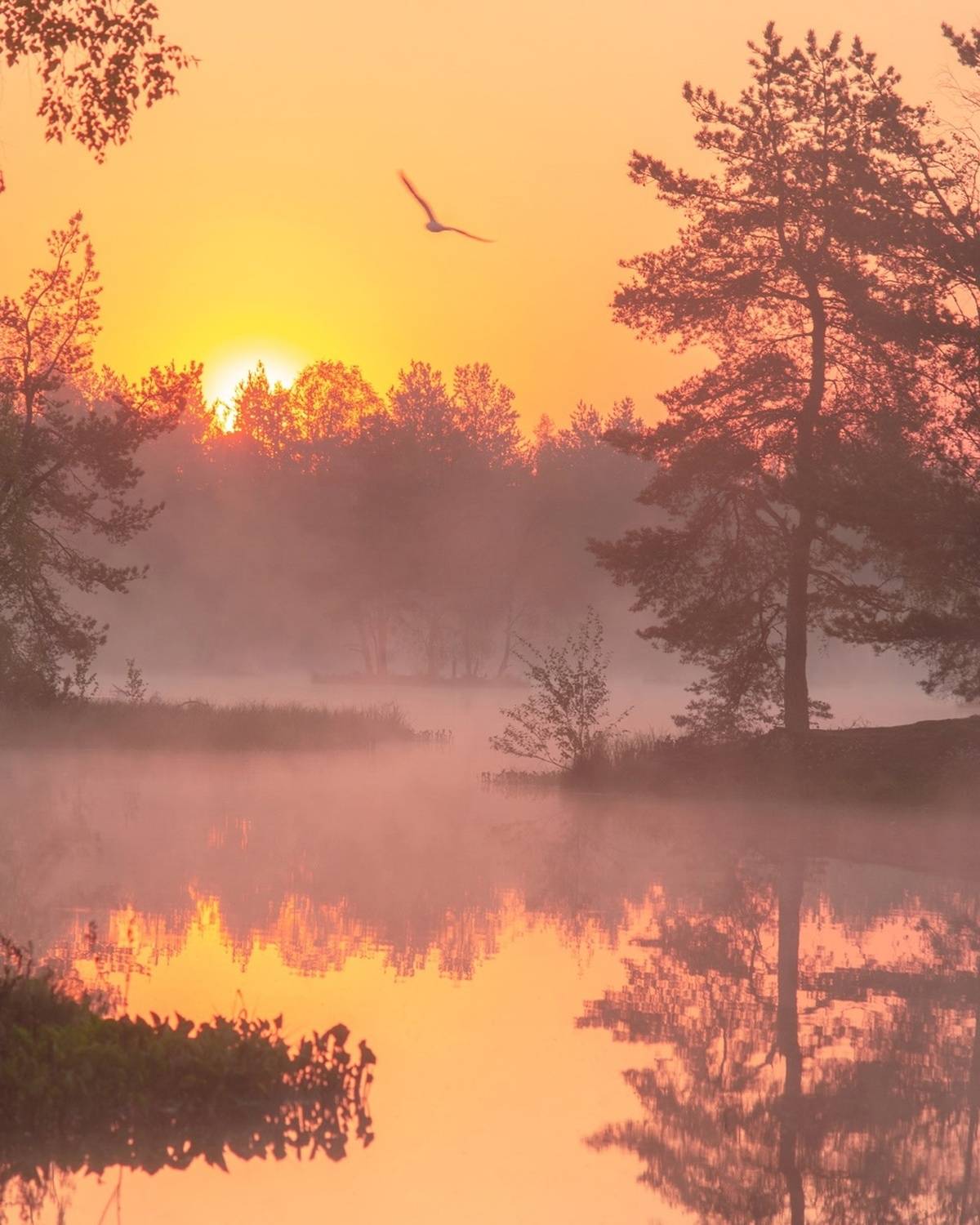 , Петр Косых