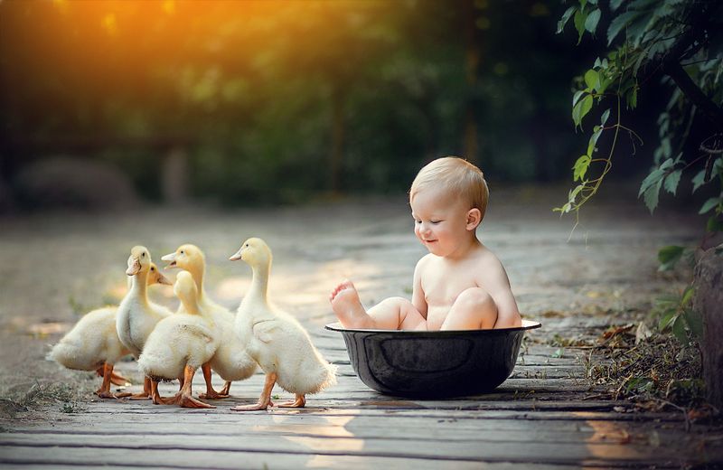 фото превью