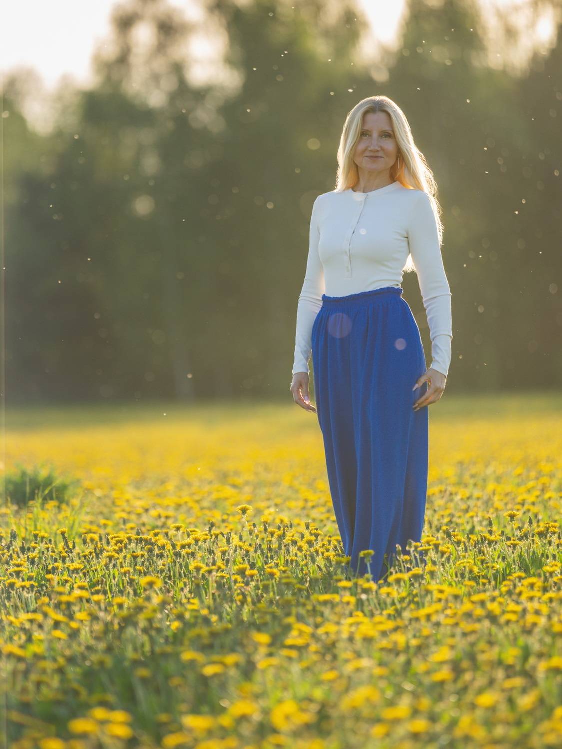 , Дэм Константин