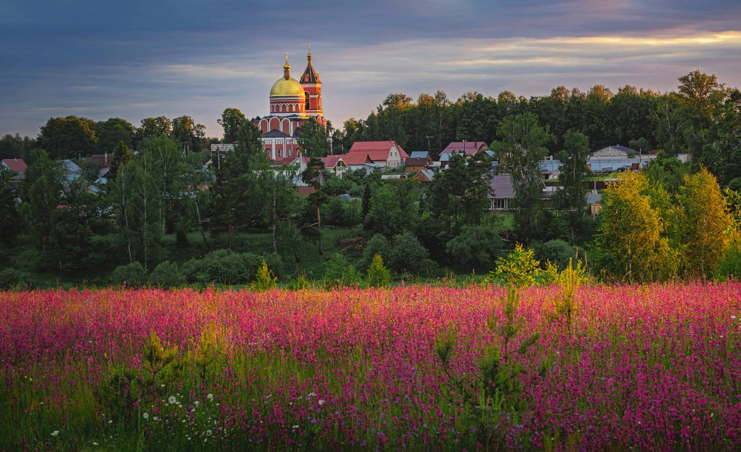 , Евгений Ерохин