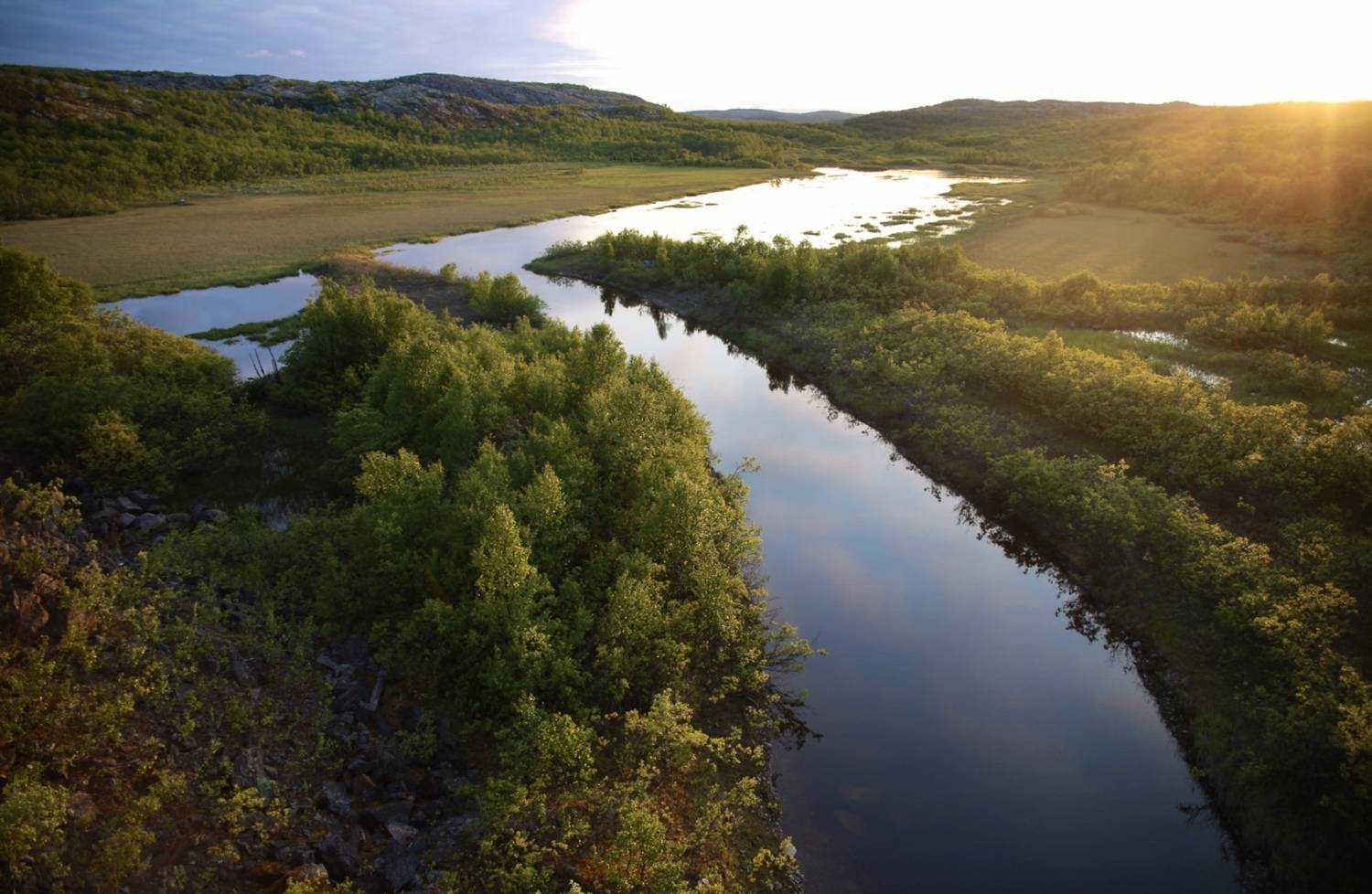 белые ночи, север, солнце, ночь, река, вода, водоём, лето, Алёна Салтыкова