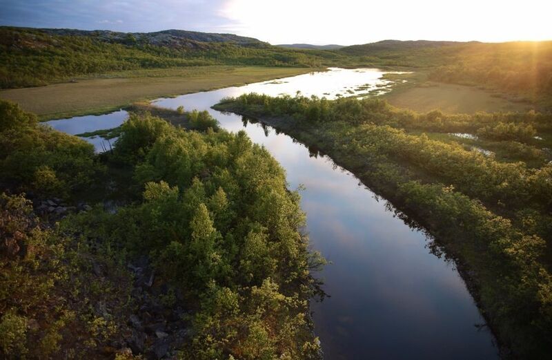 белые ночи, север, солнце, ночь, река, вода, водоём, лето Белые ночи фото превью