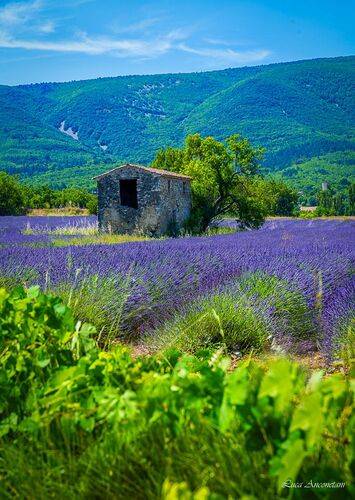 A day in Provence