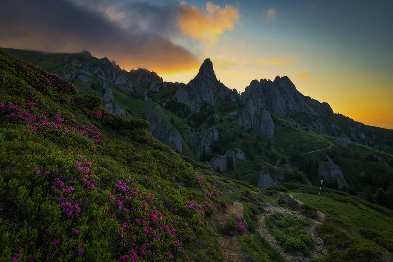 2025 фото превью