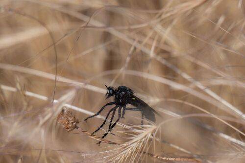 Nature | Wildlife Photography | Adventure