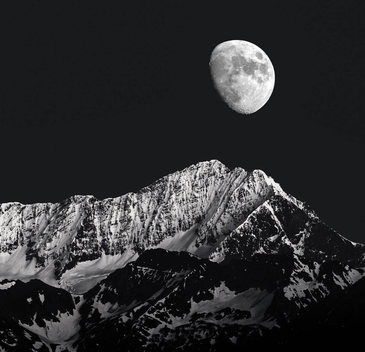 , Владимир Сковородников