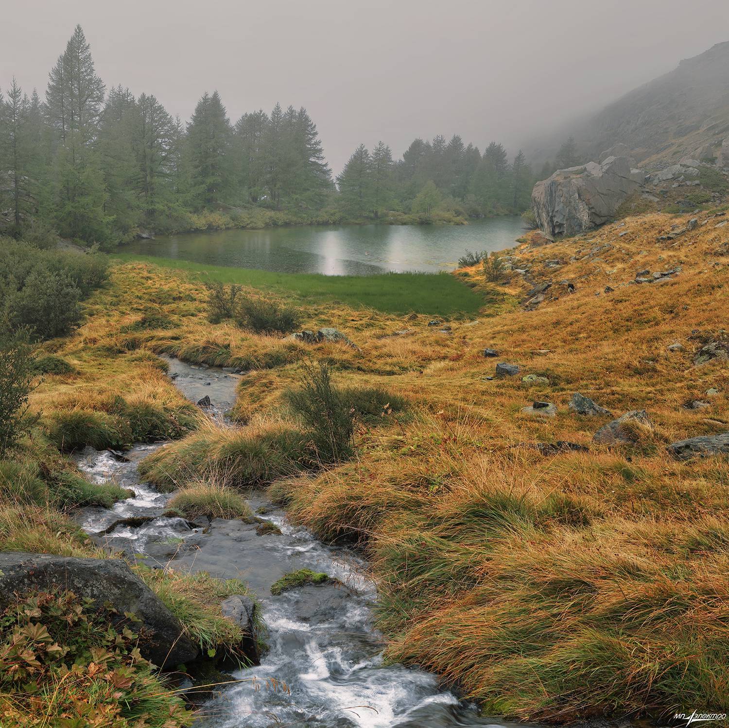 swiss, Матвеев Николай