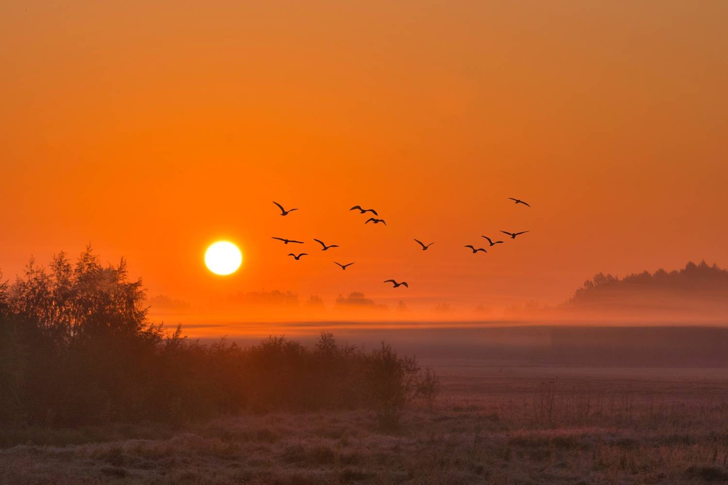 рассвет, лето, природа, пейзаж, Виктор Ястребов