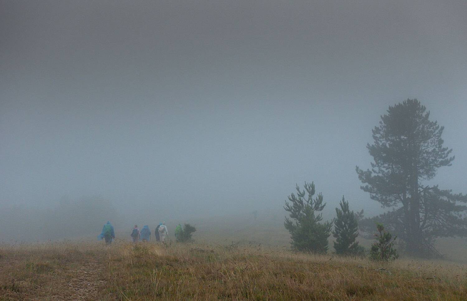 , Андрей Гусаченко