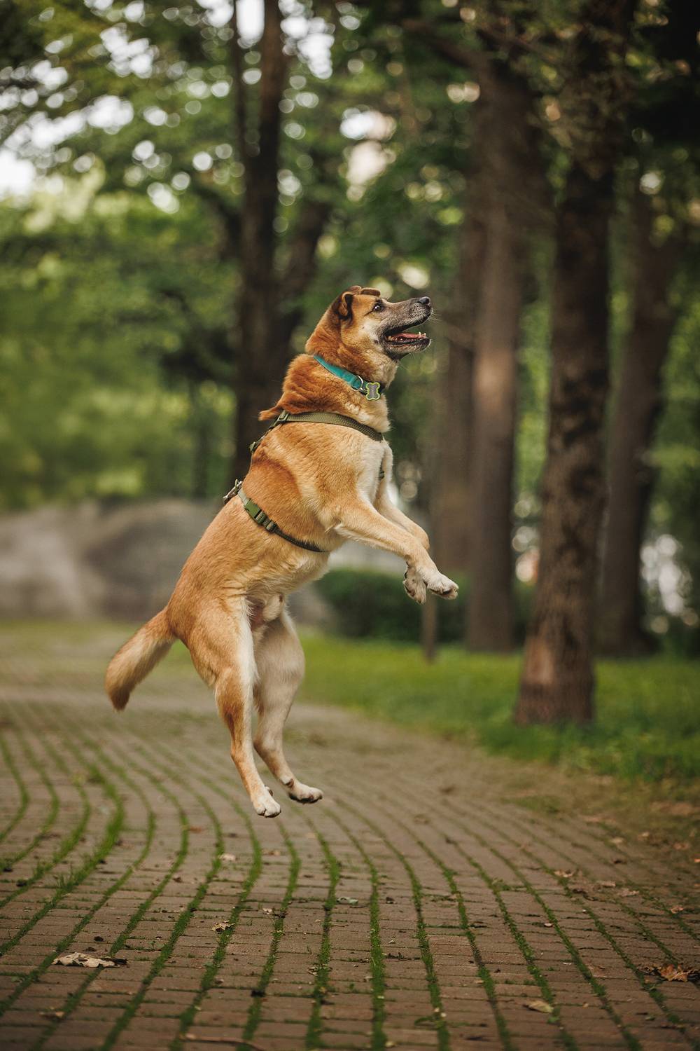 , Елена Самусенкова