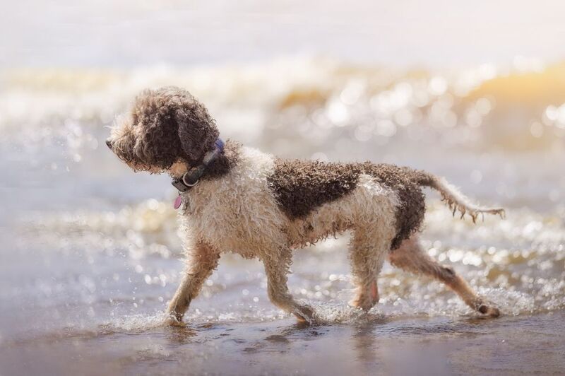 Friday фото превью