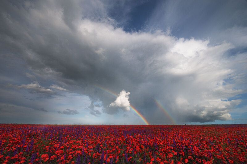 фото превью