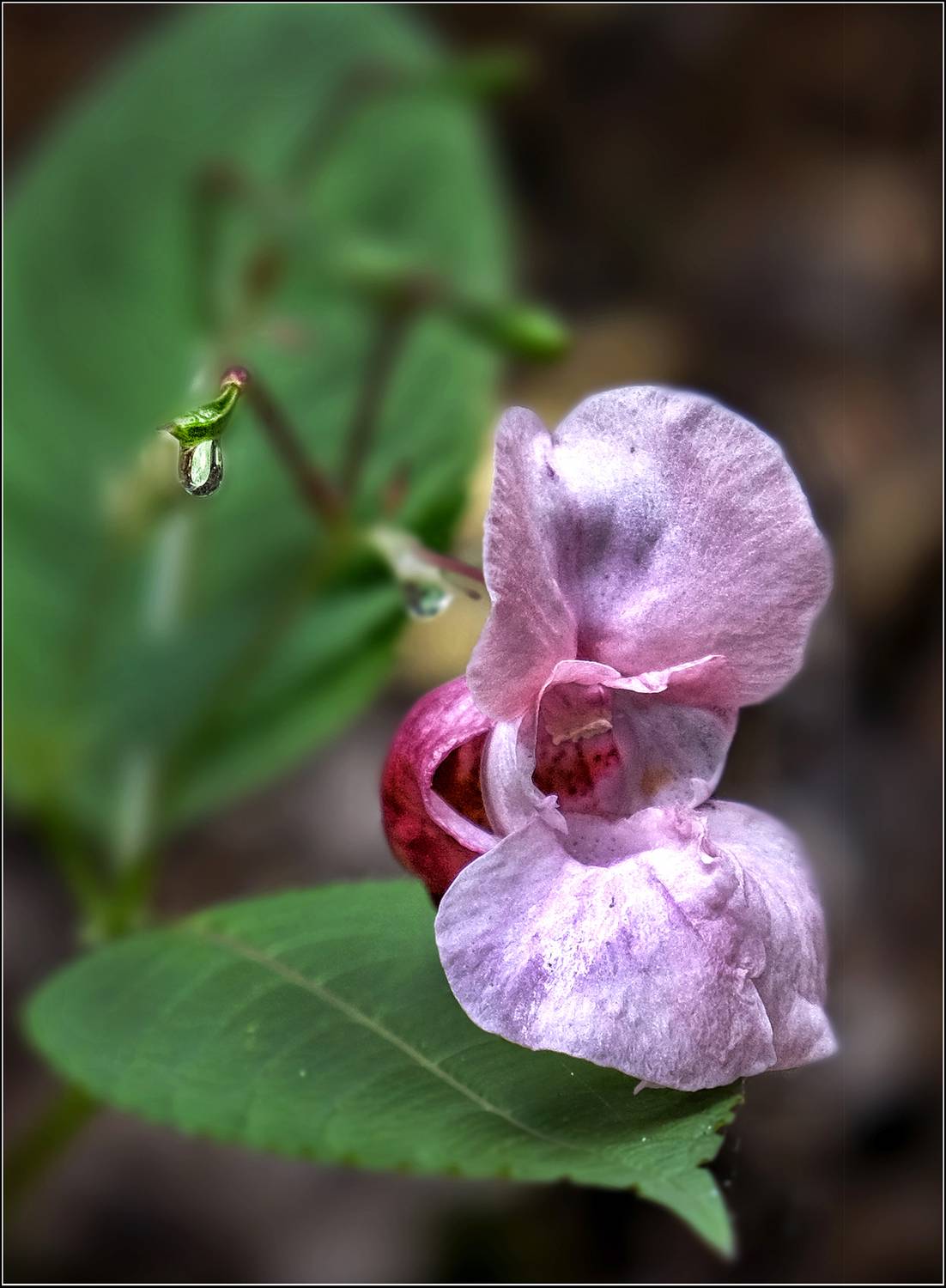 , Ушаков Валерий