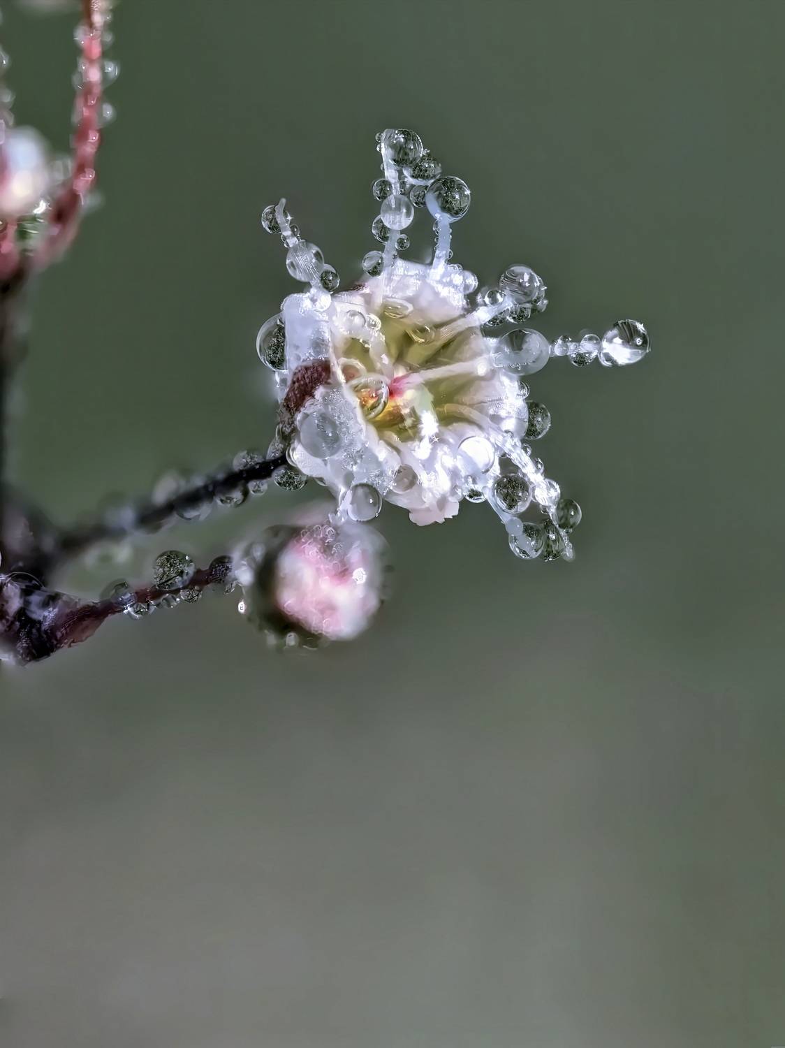, Кузнецов Дмитрий