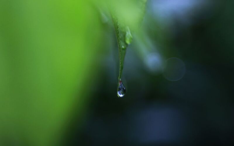 летняя грусть фото превью