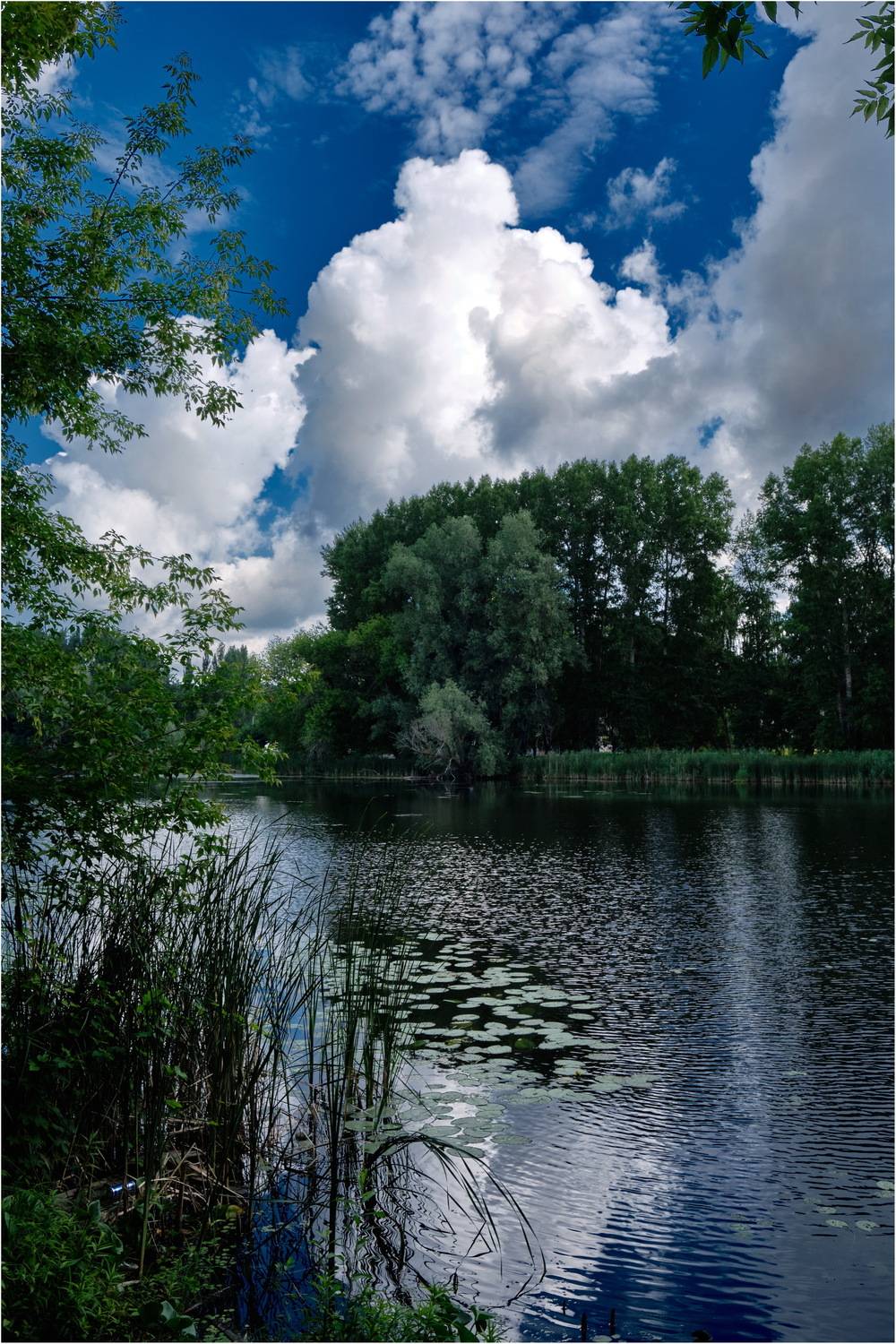 , Владимир Краснов