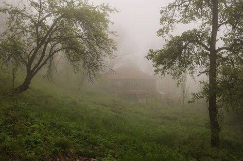 Туман в ауле..