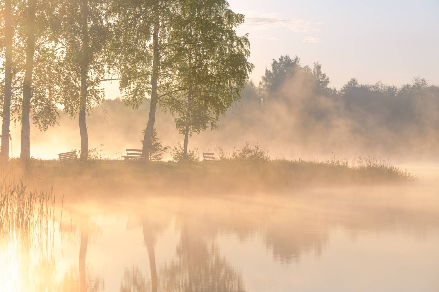 Ферапонтово , Евдокимов Максим