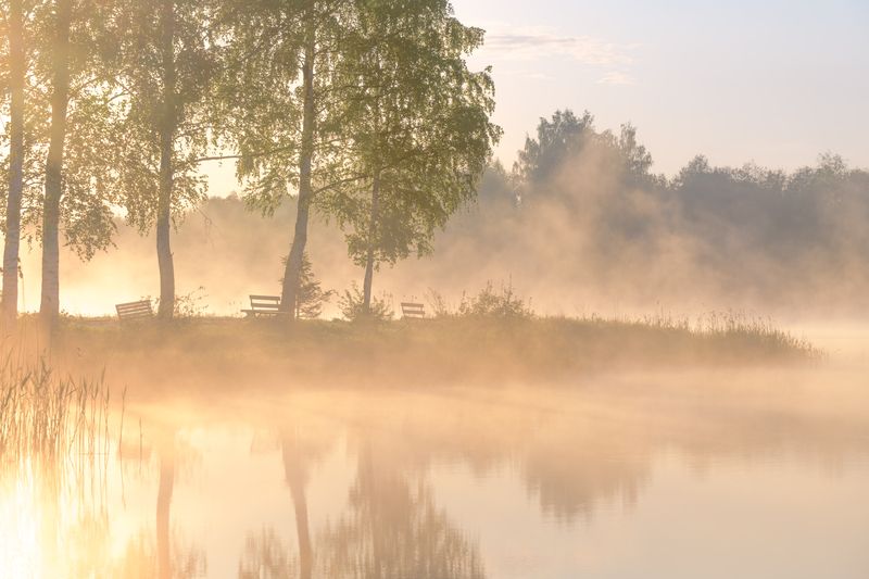 Ферапонтово  Посидим? Подумаем?...  фото превью