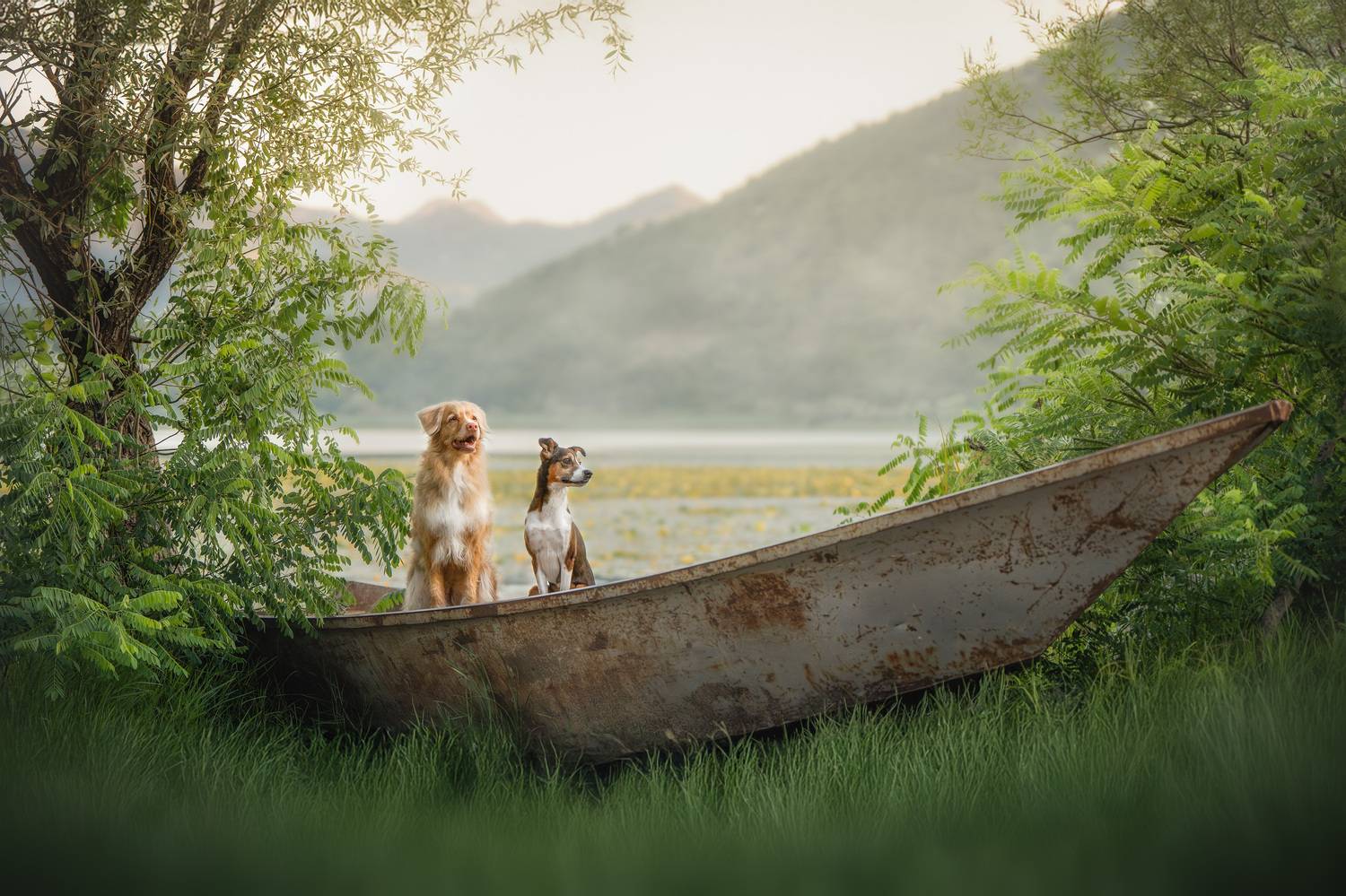 , Андрианова Ирина