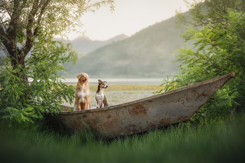 Путешественники фото превью