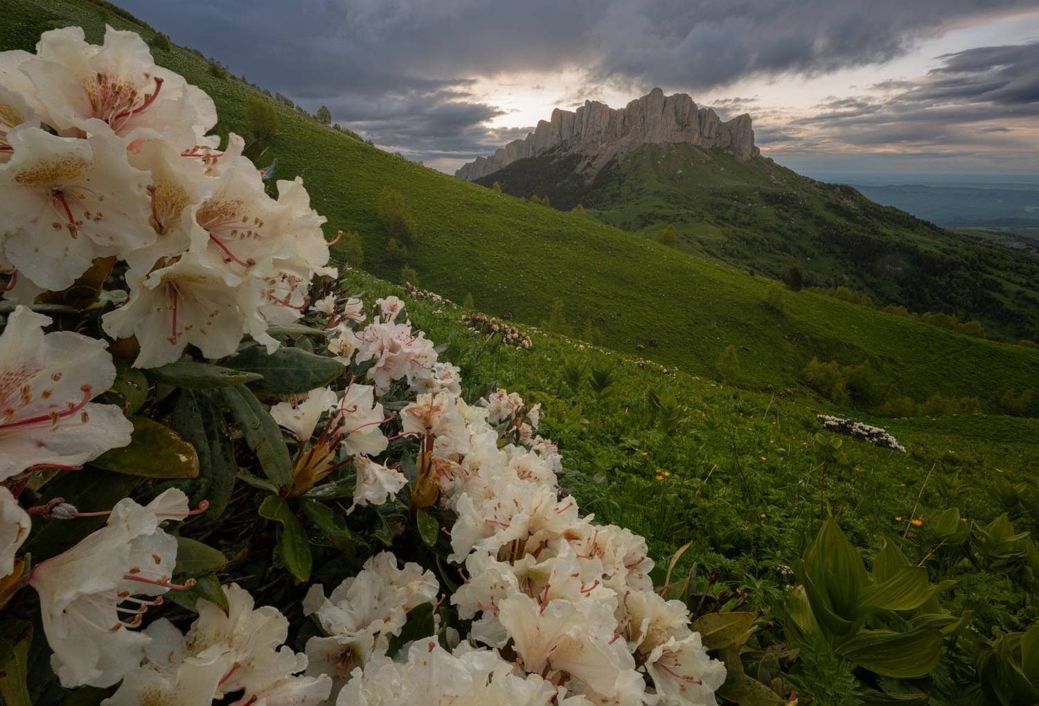 , Ширгин Сергей