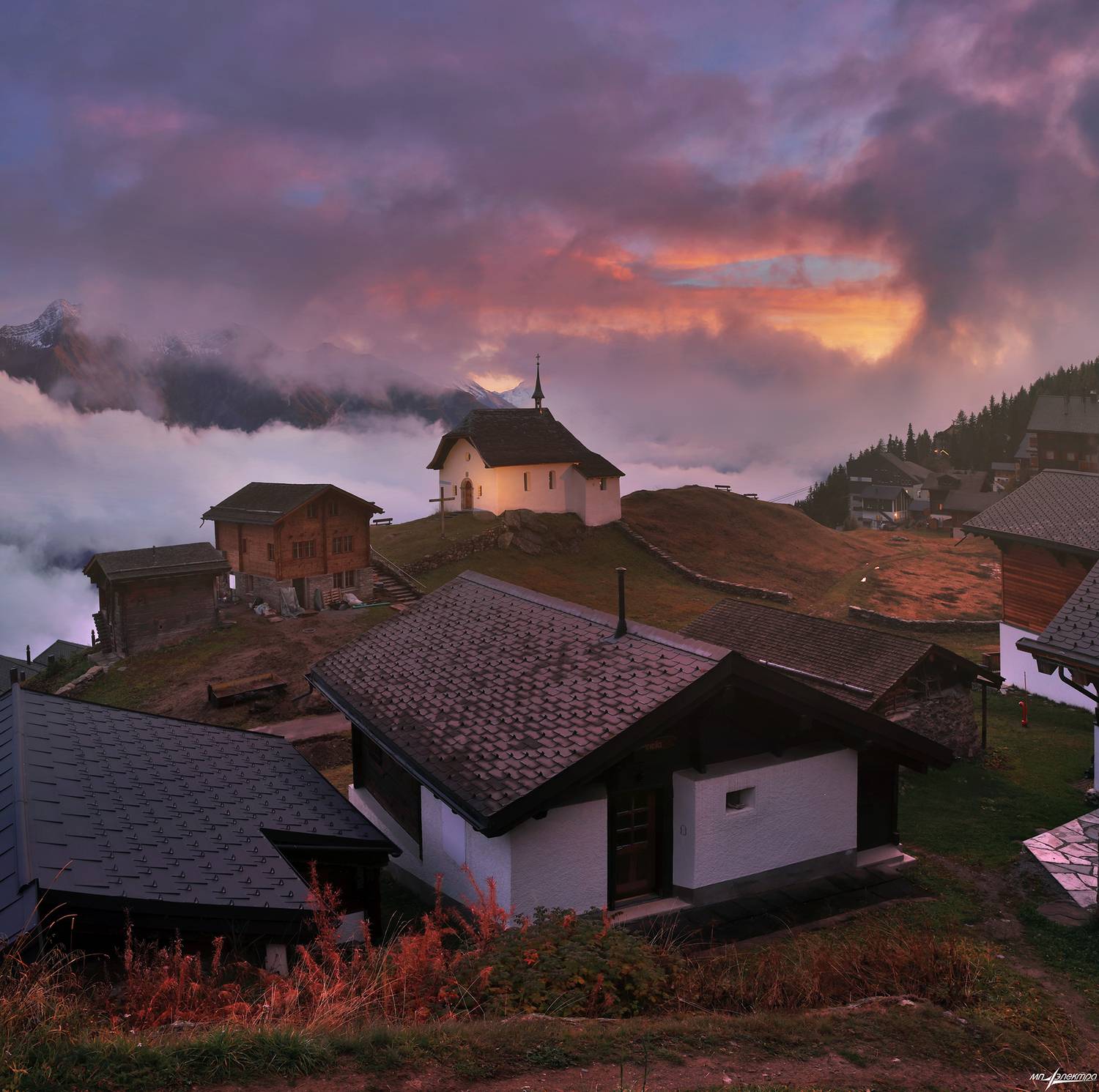 swiss, Матвеев Николай