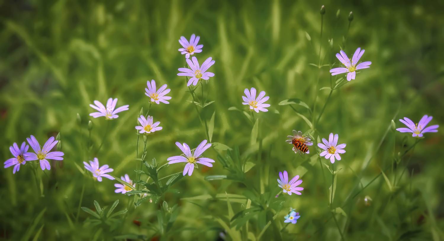 , Сергей Аникин