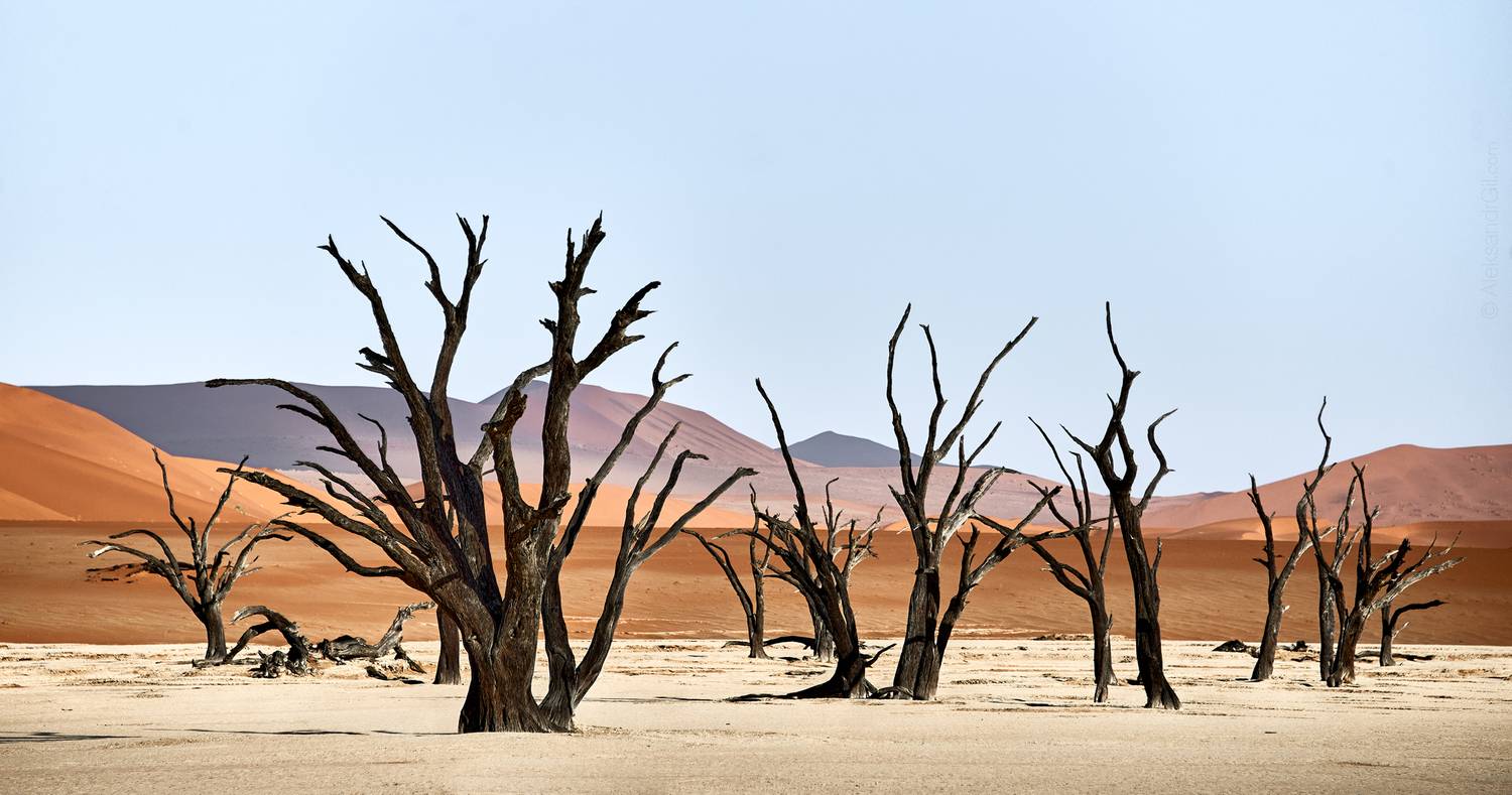 , Гиль Александр