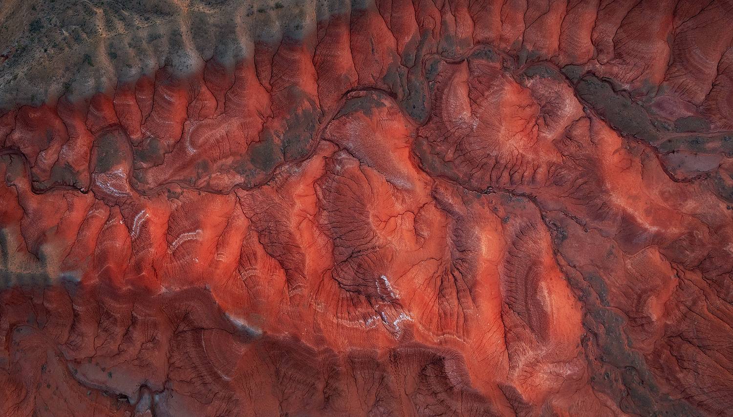 , Андрей Родионов