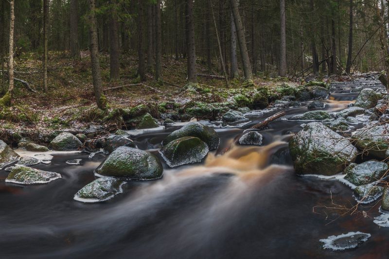 Река, вода, камни, лес, Карелия, осень Карелия фото превью