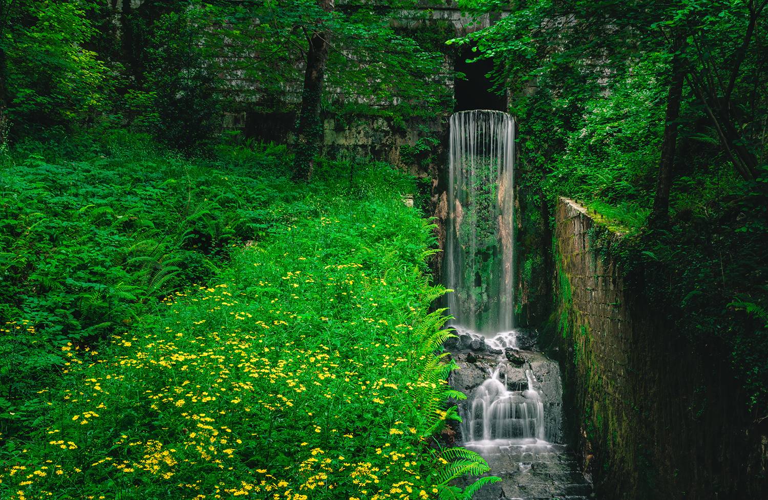 , Veaceslav Chisalita