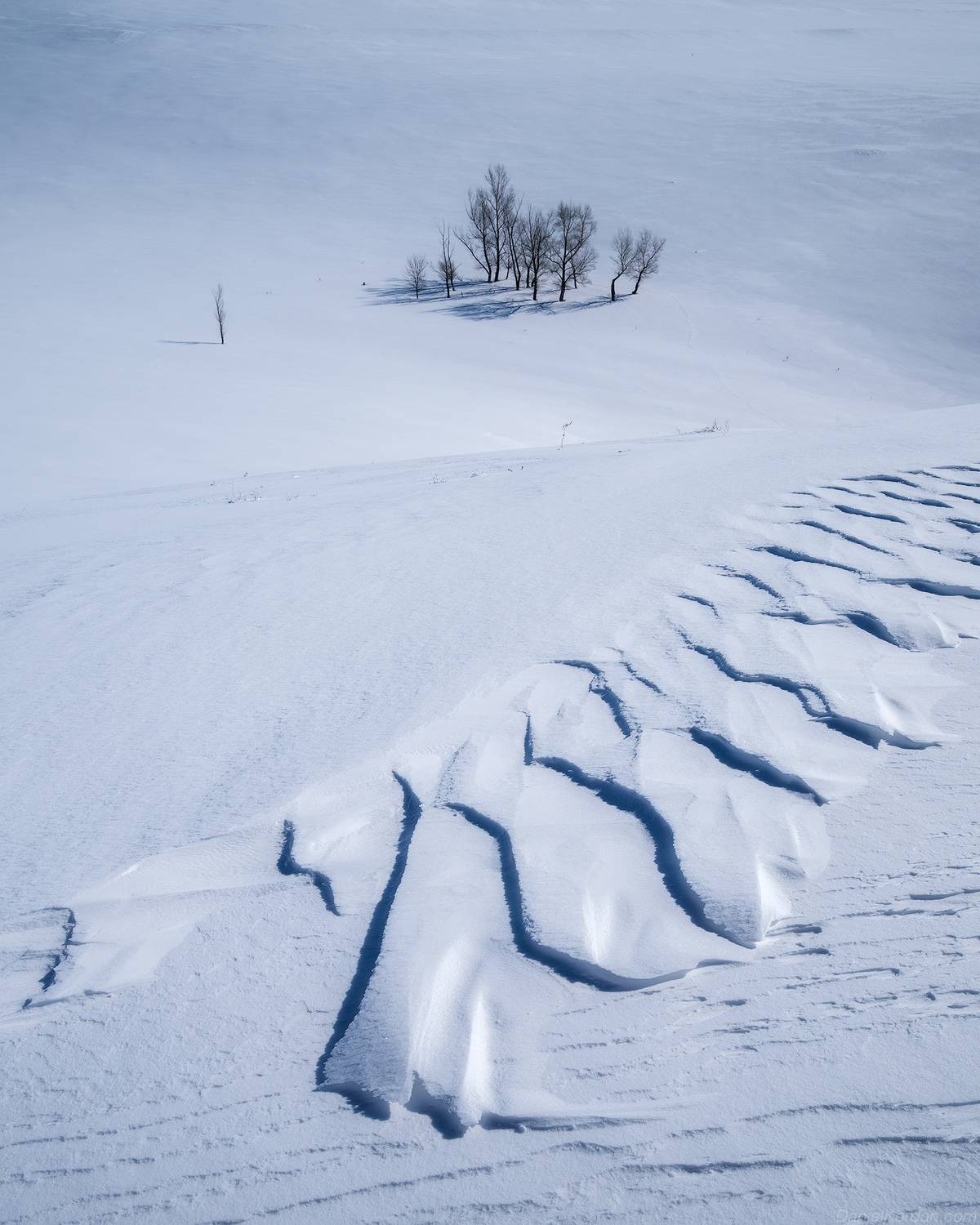 , Даниил Коржонов