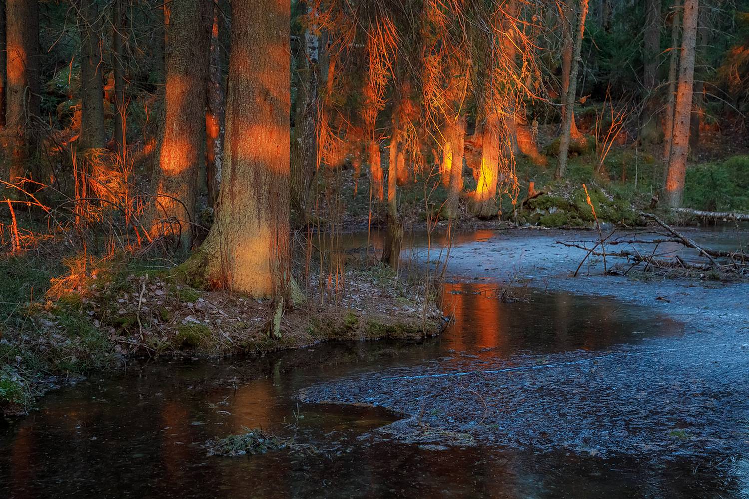 заморозки, карельская весна, тайга, ладожские шхеры, карелия, ладога, северное приладожье, сортавала, питкяранта, русский север, северная природа, северный пейзаж, пейзажи карелии, природа карелии, фототуры по карелии, фототуры по ладоге, фототур на ладож, Уютнов Кирилл