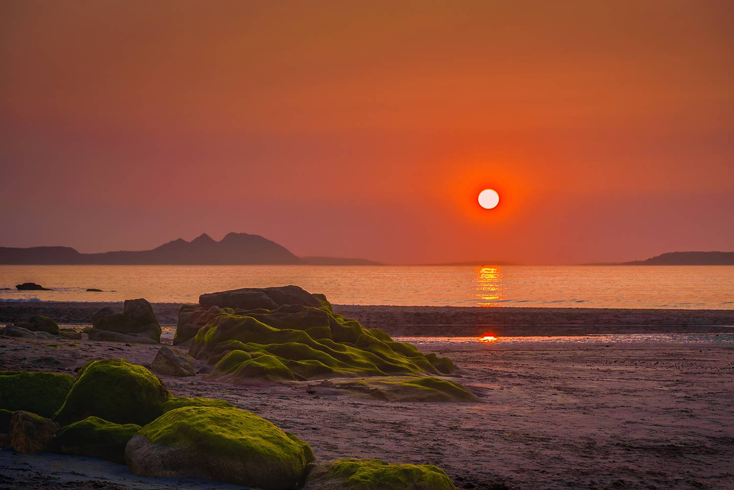 , Veaceslav Chisalita