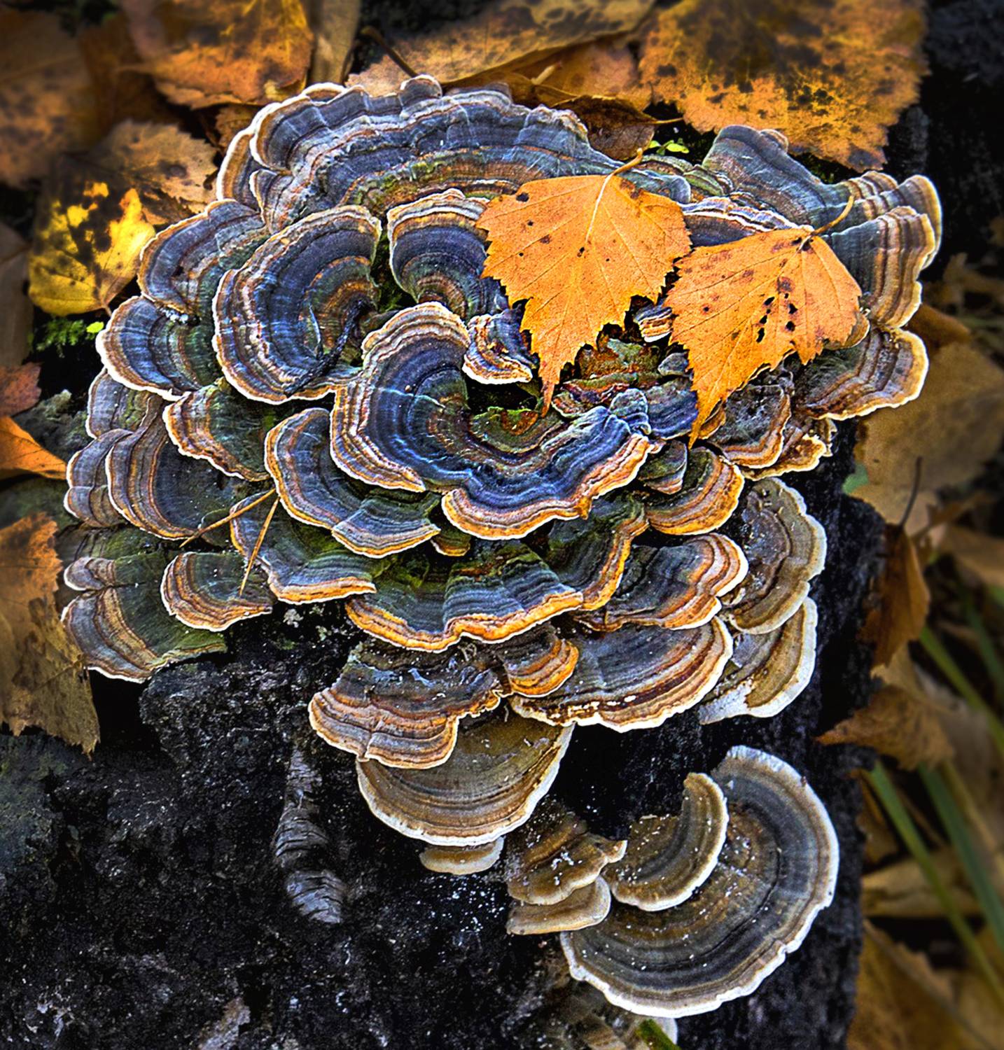 , Ушаков Валерий